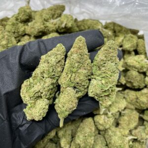 SOUR DIESEL 30%THC