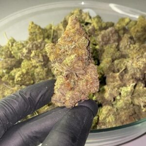 PURPLE HAZE 20%THC