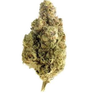 Royal Gorilla 27%THC