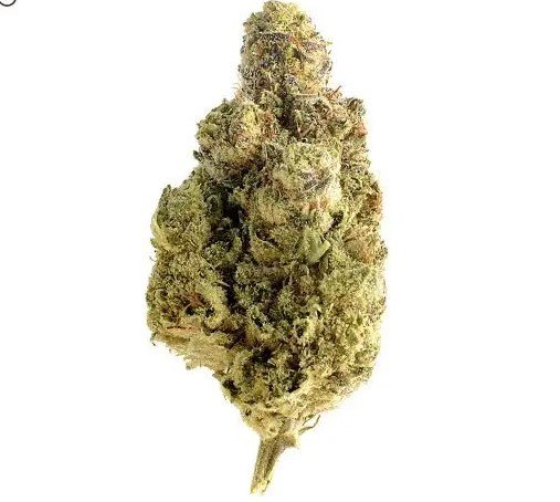 og-kush.jpg